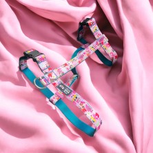 Szelki norweskie/Guard Atomówki