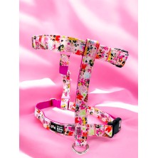 Szelki norweskie/Guard Atomówki