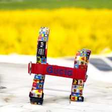 Szelki norweskie/Guard Myszka Miki logo