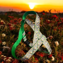 Szelki norweskie/Guard Tygrysek 2