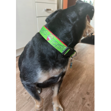 Obroża Grinch święta