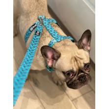 Szelki norweskie/Guard Scooby-Doo mint