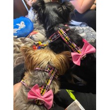 Szelki norweskie/Guard Batman różowy