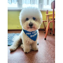 Chustka dla psa z Twoim nadrukiem