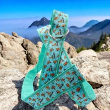 Szelki norweskie/Guard Scooby-Doo mint