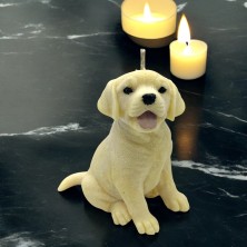 Świeca sojowa Labrador