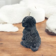 Świeca sojowa Hawańczyk