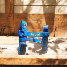 Szelki norweskie/Guard Superman