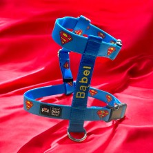 Szelki norweskie/Guard Superman