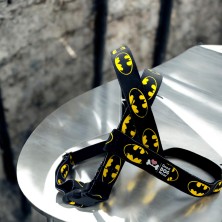 Szelki norweskie/Guard Batman logo