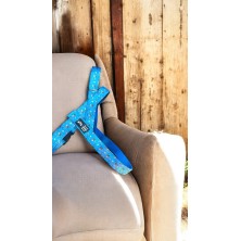 Szelki norweskie/Guard Jack Russell Terrier niebieska