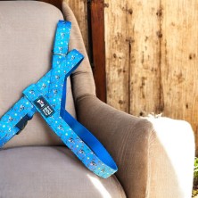 Szelki norweskie/Guard Jack Russell Terrier niebieska