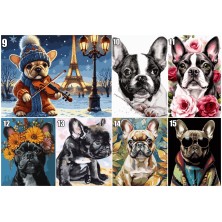 Malowanie po numerach Buldog Francuski