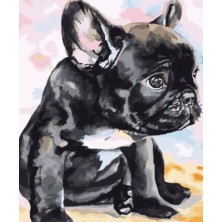 Malowanie po numerach Buldog Francuski