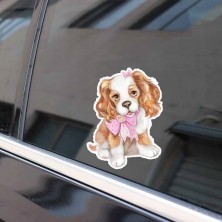 Naklejka na samochód Cavalier King Charles Spaniel