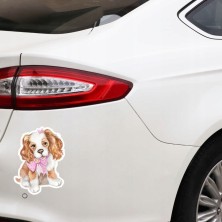 Naklejka na samochód Cavalier King Charles Spaniel