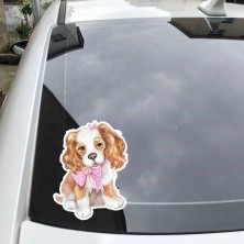 Naklejka na samochód Cavalier King Charles Spaniel