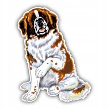 Naklejka na samochód Bernardyn