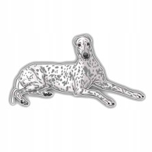 Naklejka na samochód Chart