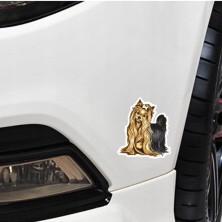 Naklejka na samochód Yorkshire Terrier