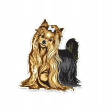 Naklejka na samochód...