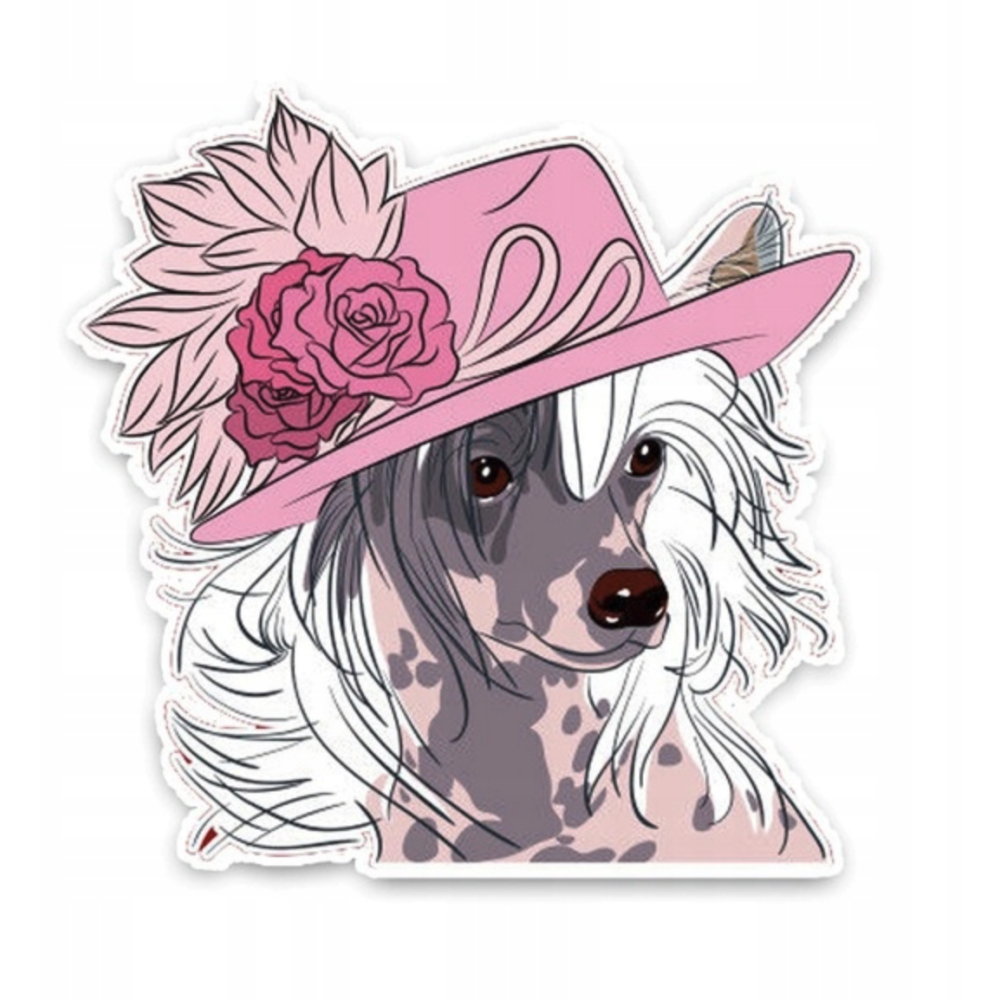 Naklejka na samochód Grzywacz Chiński