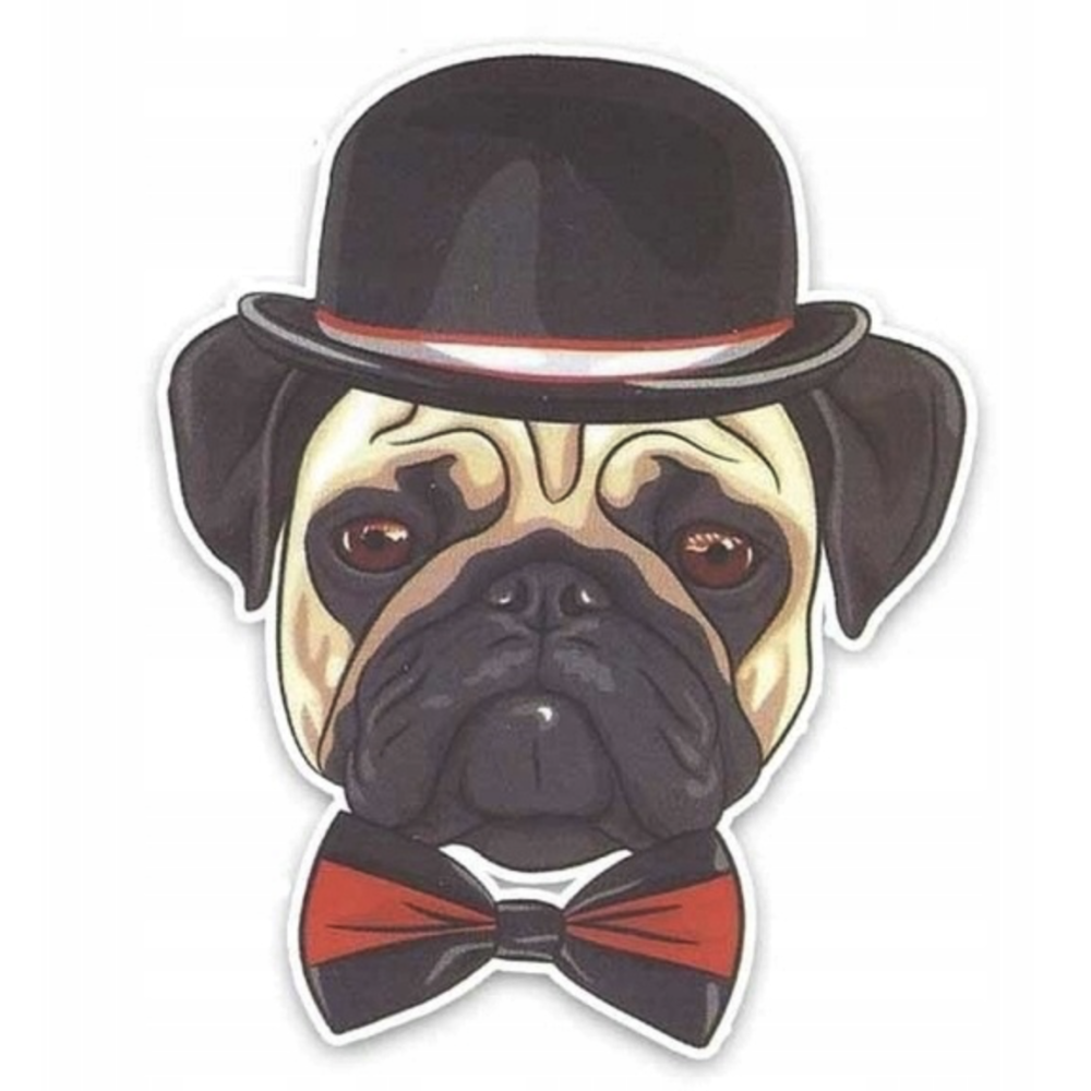 Naklejka na samochód Mops