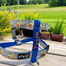 Szelki norweskie/Guard Grill