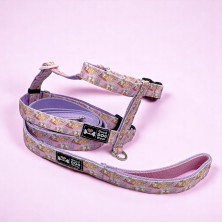 Szelki norweskie/Guard Zakochany Kundel