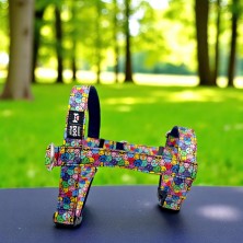 Szelki norweskie/Guard Buźki