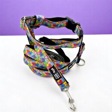 Szelki norweskie/Guard Buźki