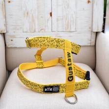 Szelki norweskie/Guard Lion King