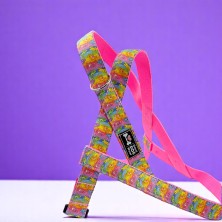 Szelki norweskie/Guard Troskliwe Misie