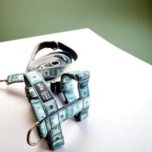 Szelki norweskie/Guard Dolar $