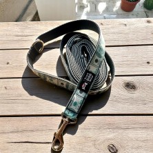 Szelki norweskie/Guard Dolar $