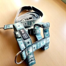 Szelki norweskie/Guard Dolar $