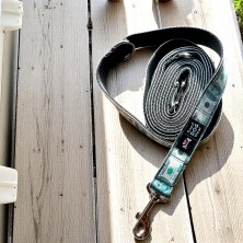 Szelki norweskie/Guard Dolar $