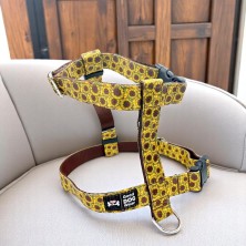 Szelki norweskie/Guard Słoneczniki 3