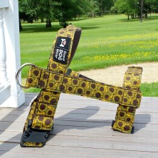 Szelki norweskie/Guard Słoneczniki 3