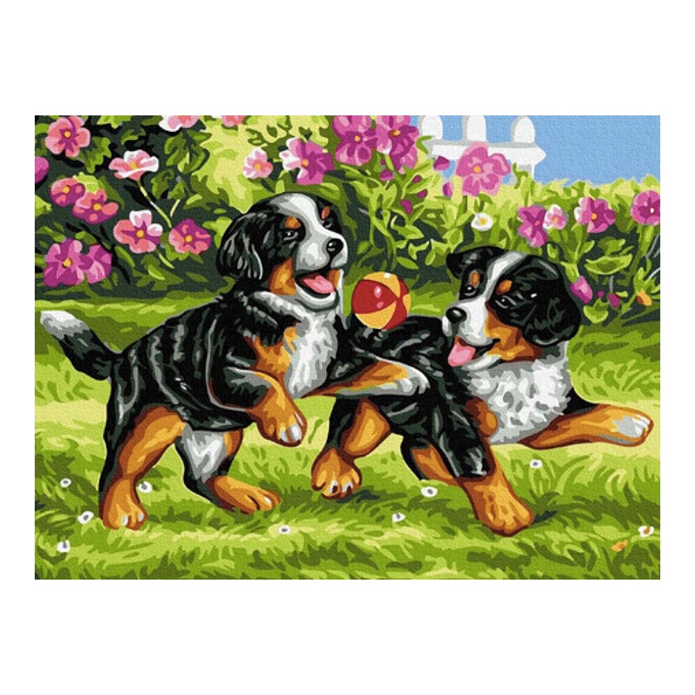 Malowanie po numerach Berneńczyki zabawa