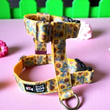 Szelki norweskie/Guard Słoneczniki 4