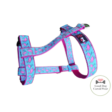 Szelki norweskie/Guard Flamingi