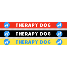 Smycz THERAPY DOG
