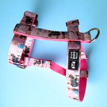 Szelki norweskie/Guard Kraina Lodu Frozen