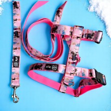 Szelki norweskie/Guard Kraina Lodu Frozen