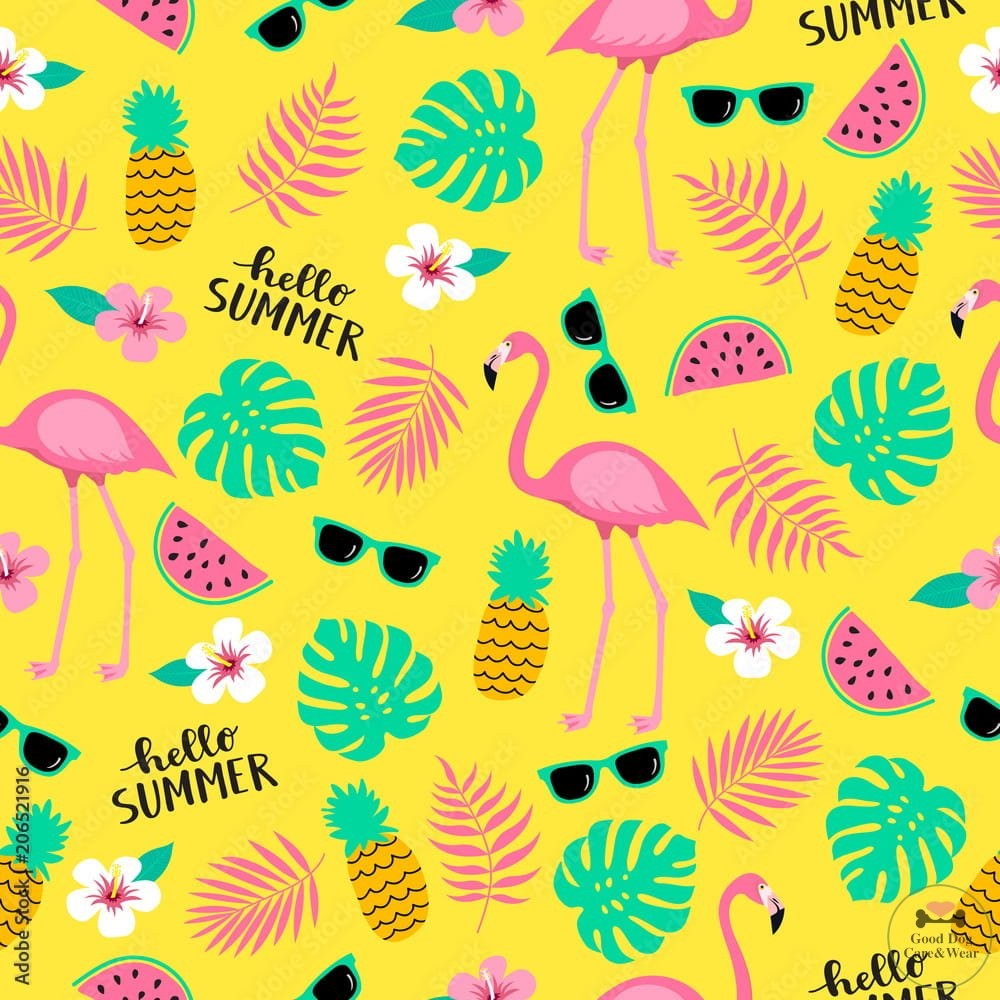 Obroża Flamingi Summer