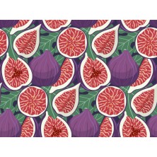 Szelki norweskie/Guard Figa 3