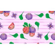 Szelki norweskie/Guard Figa 4