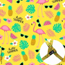 Szelki Flamingi Summer