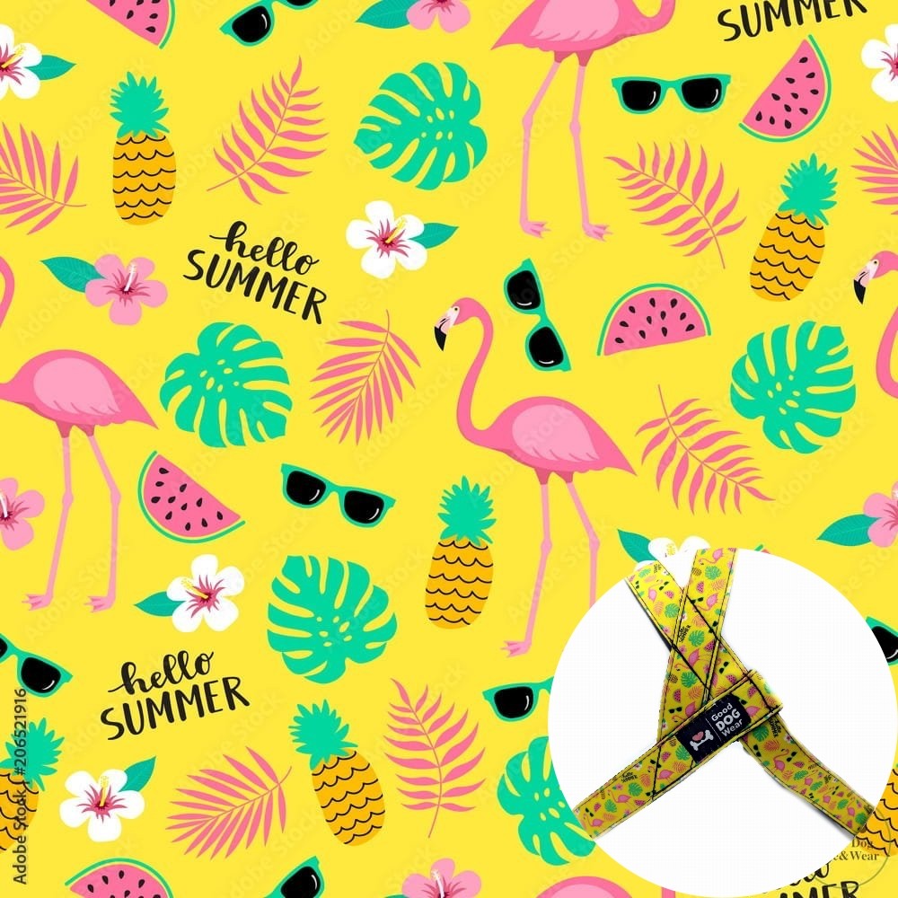 Szelki Flamingi Summer